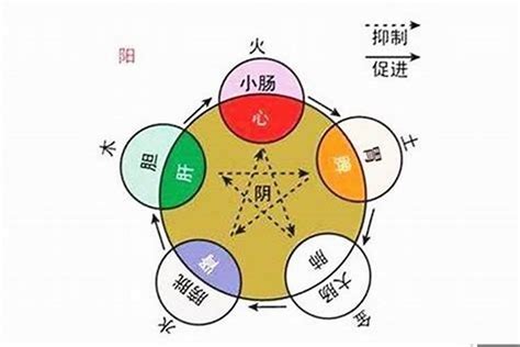 五行 屬|如何知道一個人的五行屬什么